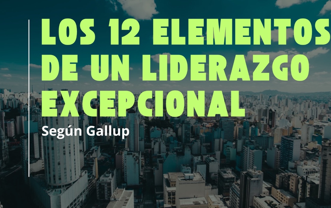 The 12 Elements of Great Leadership by Gallup