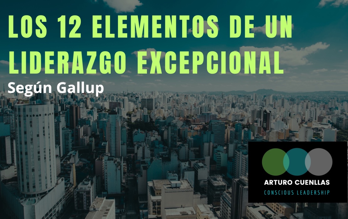Whorkshop Los 12 Elementos de una Gestion Excepcional